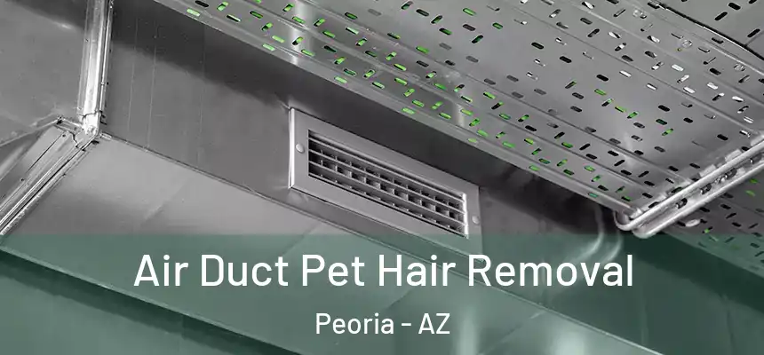  Air Duct Pet Hair Removal Peoria - AZ