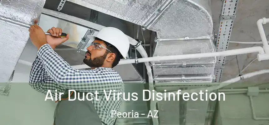  Air Duct Virus Disinfection Peoria - AZ
