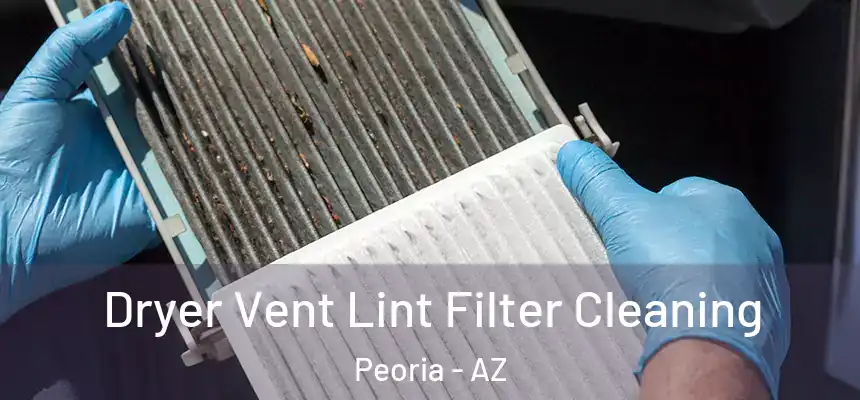  Dryer Vent Lint Filter Cleaning Peoria - AZ