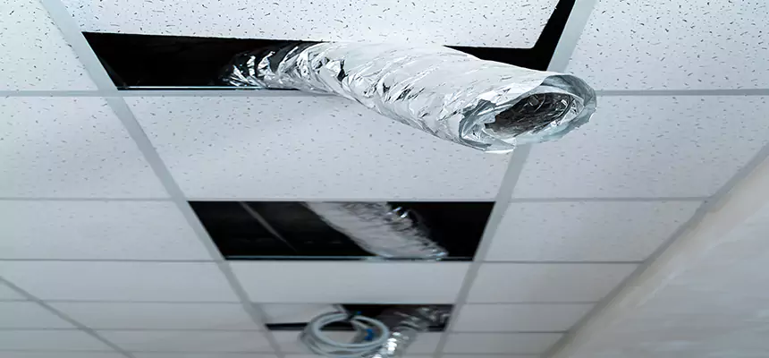 Affordable HVAC Sanitizing After Pest Removal in Peoria