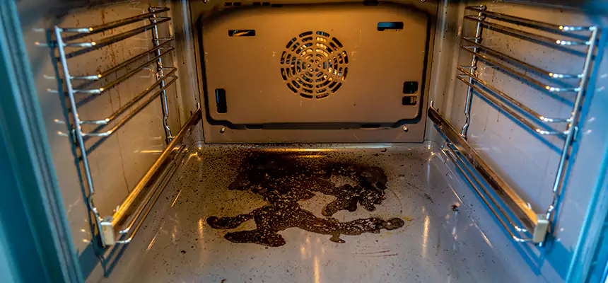 Our Dryer Vent Mold Cleaning Services in Peoria, AZ