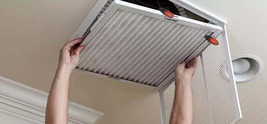 Our Insect Removal from Air Ducts Services in Peoria, AZ