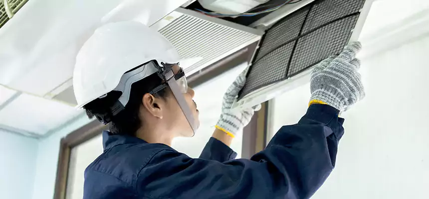 Our Mold & Mildew Removal from Air Ducts Services in Peoria, AZ