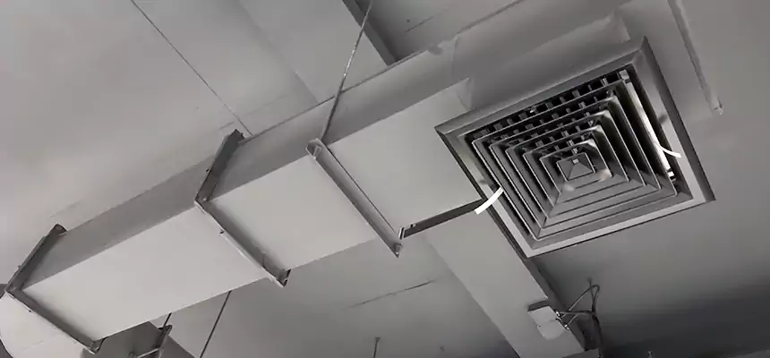 Our Pest Removal From Ducts Services in Peoria, AZ