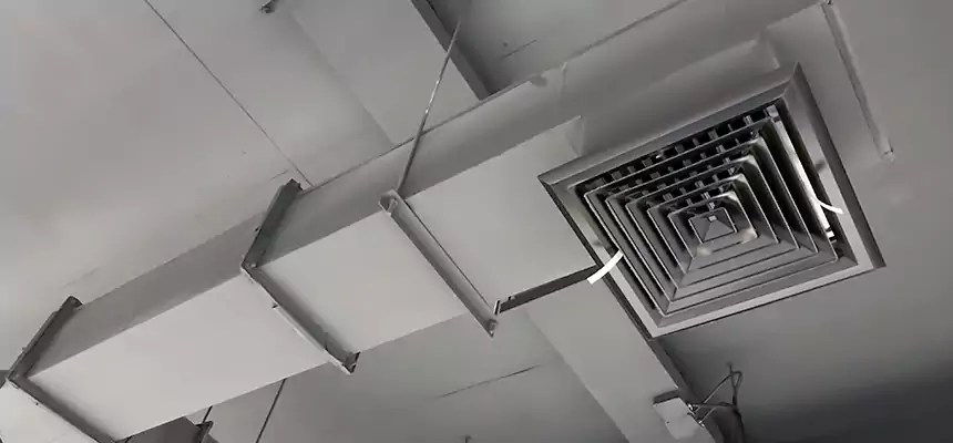 Our Rodent Droppings In Vents Services in Peoria, AZ