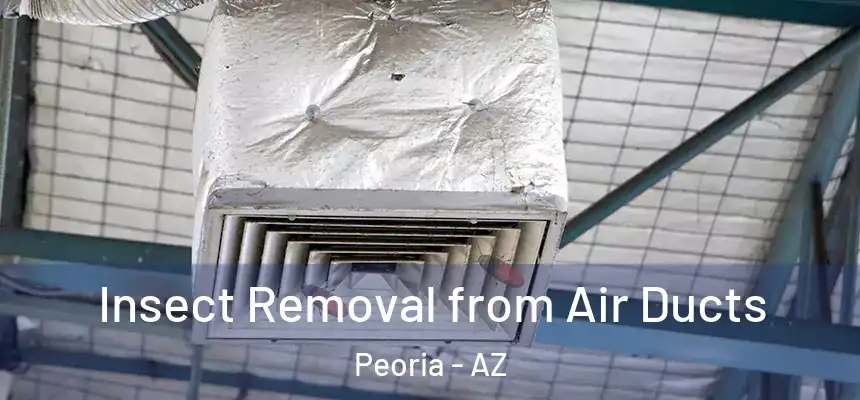  Insect Removal from Air Ducts Peoria - AZ