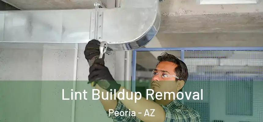  Lint Buildup Removal Peoria - AZ