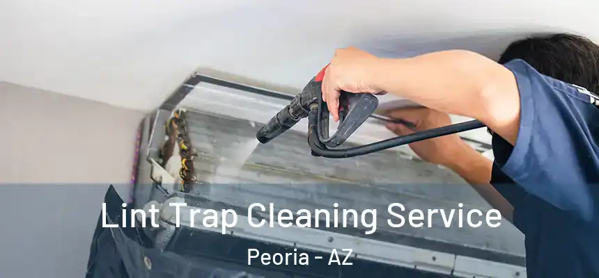  Lint Trap Cleaning Service Peoria - AZ