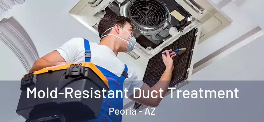 Mold-Resistant Duct Treatment Peoria - AZ
