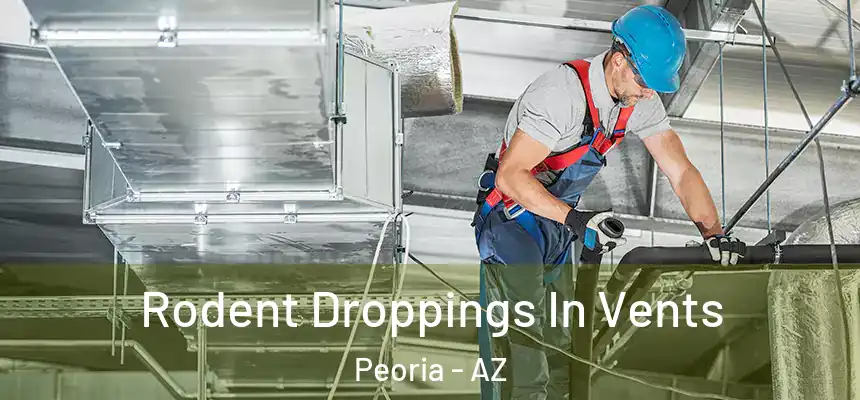 Rodent Droppings In Vents Peoria - AZ