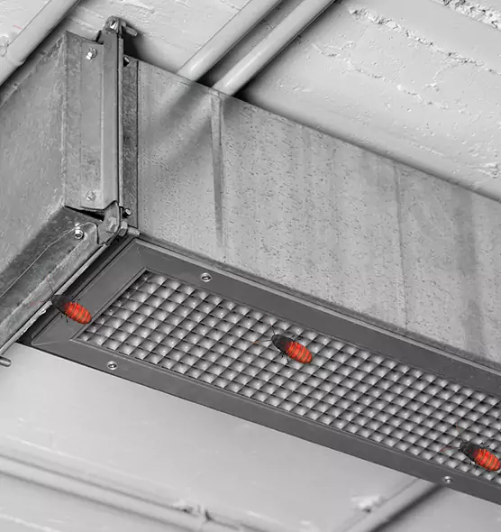 About Air Duct Cockroach Removal in Peoria, AZ