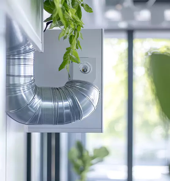 Professional Eco-Safe Dryer Vent Cleaning in Peoria, AZ