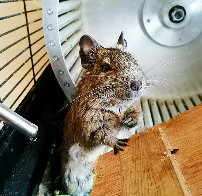 Why Homeowners & Businesses Trust Us Peoria, AZ?