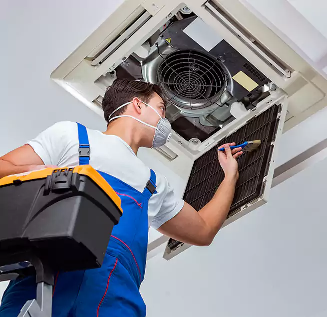 Why Homeowners & Businesses Trust Us in Peoria, AZ