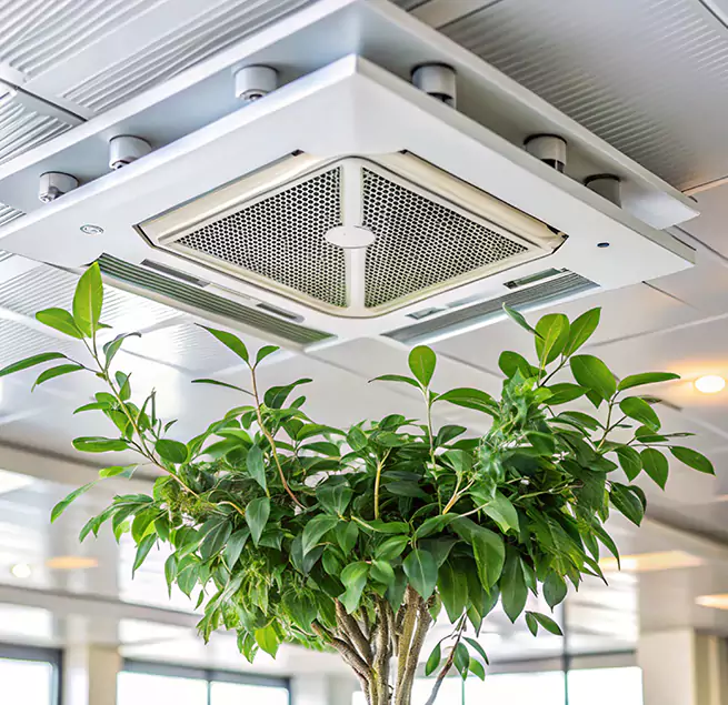 Why Homeowners & Businesses Trust Us in Peoria, AZ?