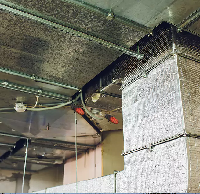 Why Homeowners & Businesses Trust Us Peoria, AZ?